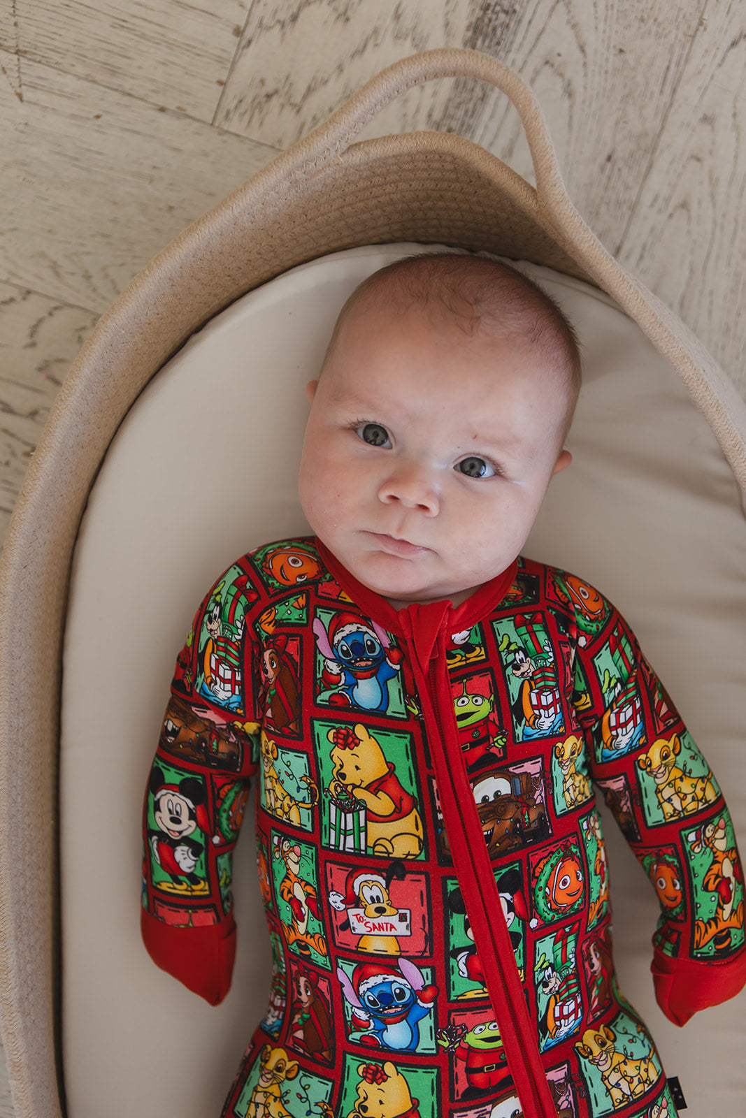 Countdown to Christmas - Zippy