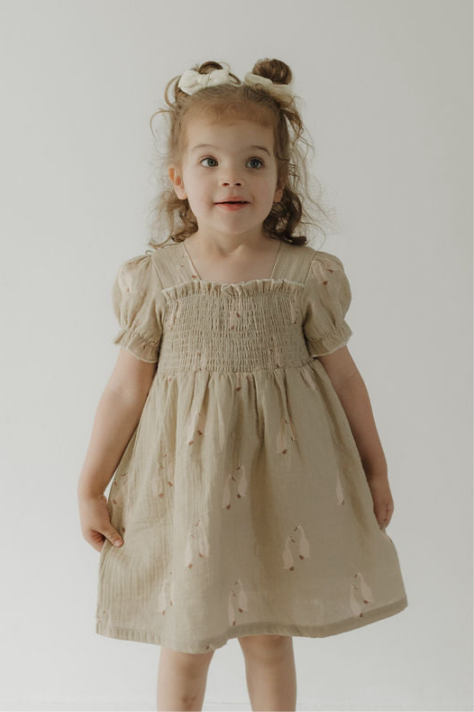 Toddler Muslin Dress | Silly Goose