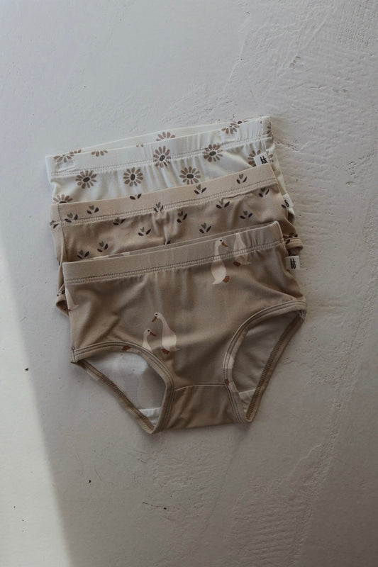 Girl's Bamboo Briefs (3 Pack) | Flora, Silly Goose & Daisy Fields