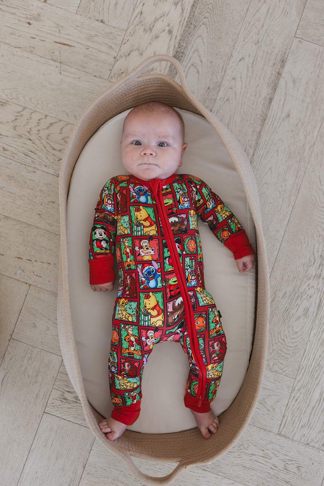 Countdown to Christmas - Zippy