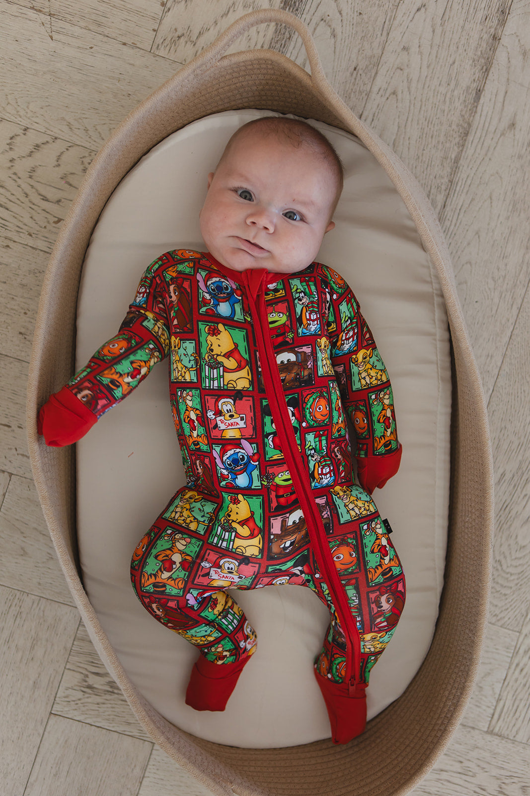 Countdown to Christmas - Zippy