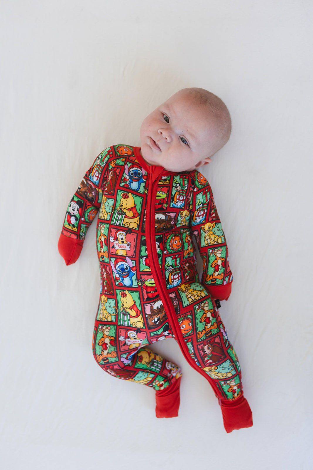 Countdown to Christmas - Zippy