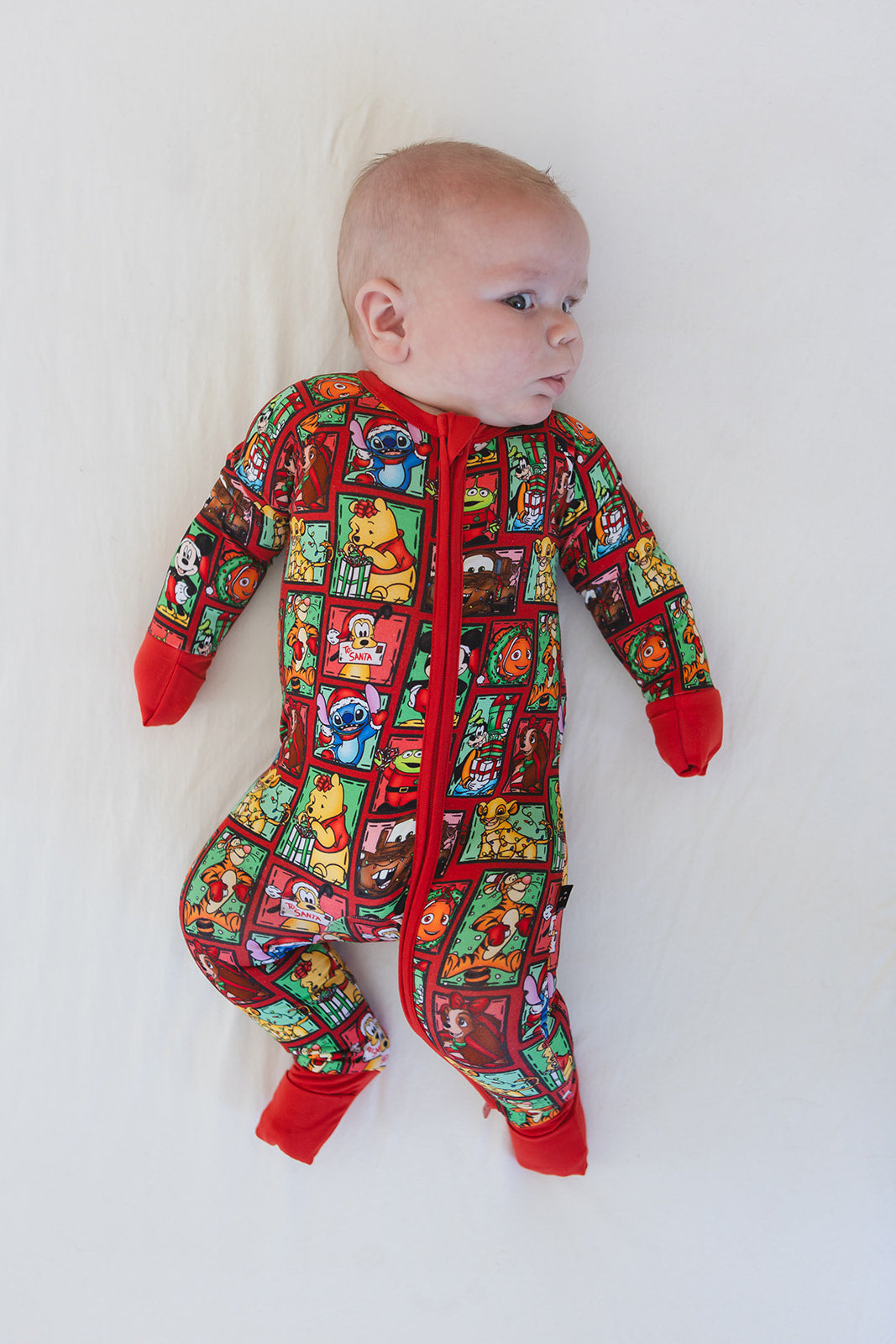 Countdown to Christmas - Zippy