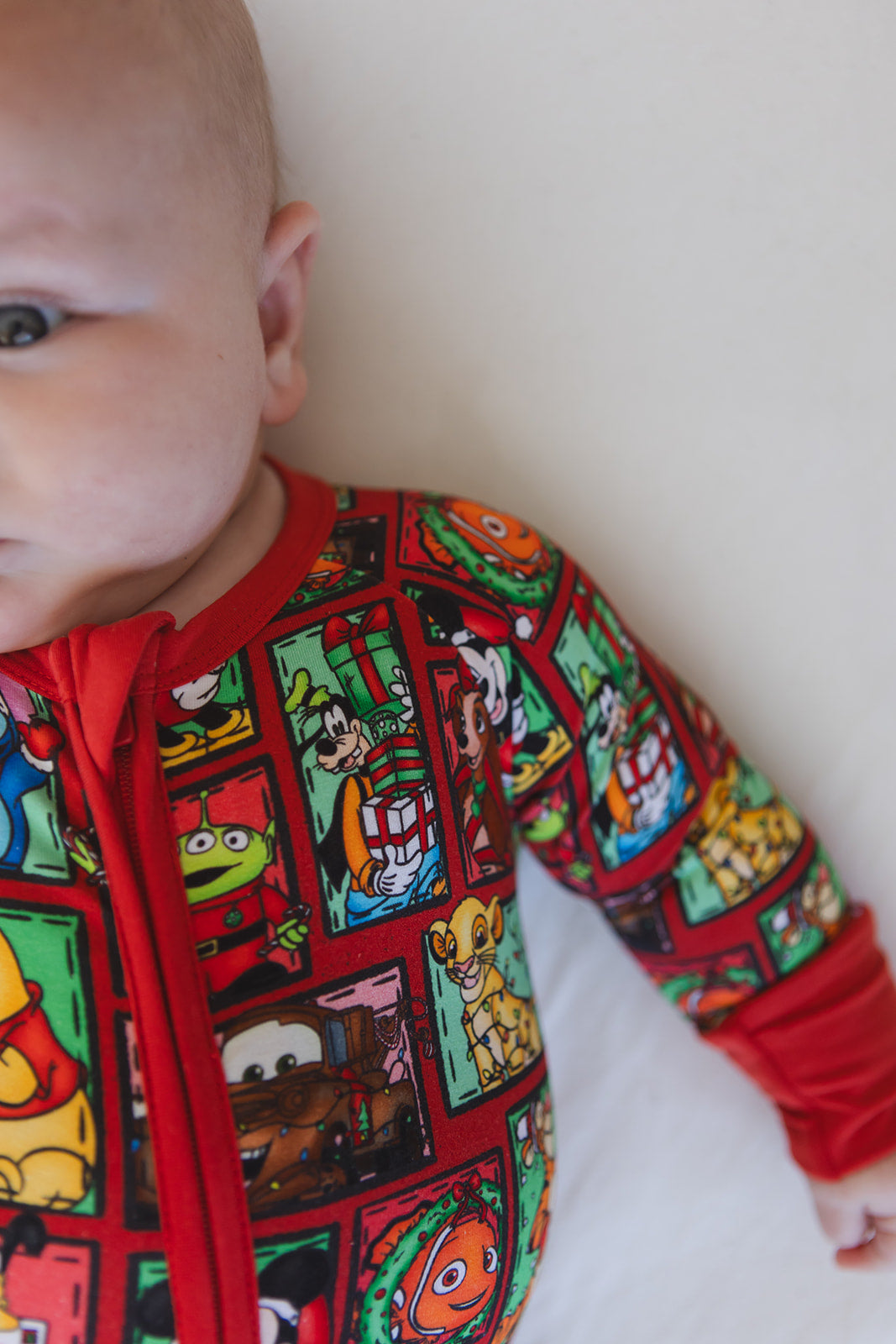 Countdown to Christmas - Zippy