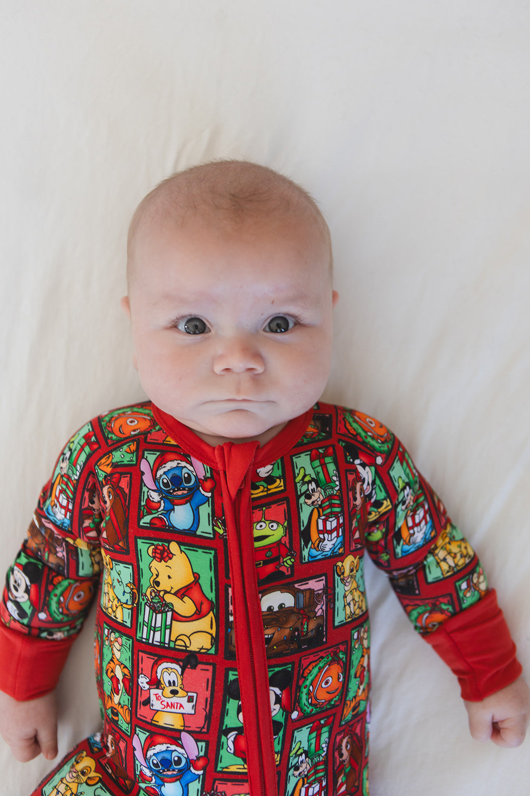 Countdown to Christmas - Zippy