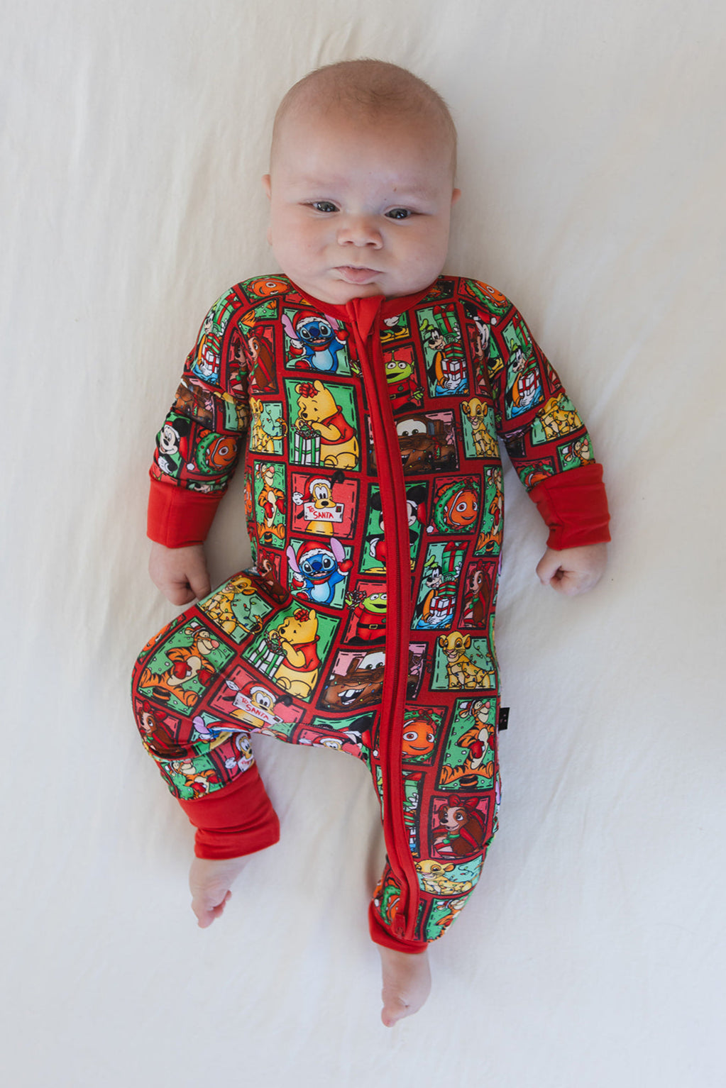 Countdown to Christmas - Zippy