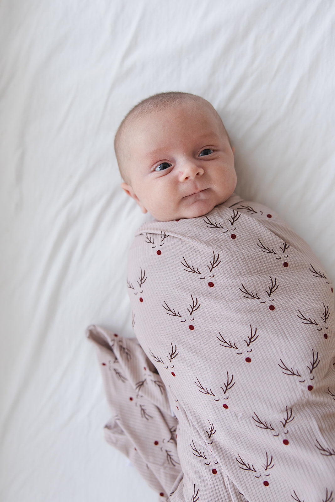 Reindeer Ridge (ribbed) - Lightweight Blanket