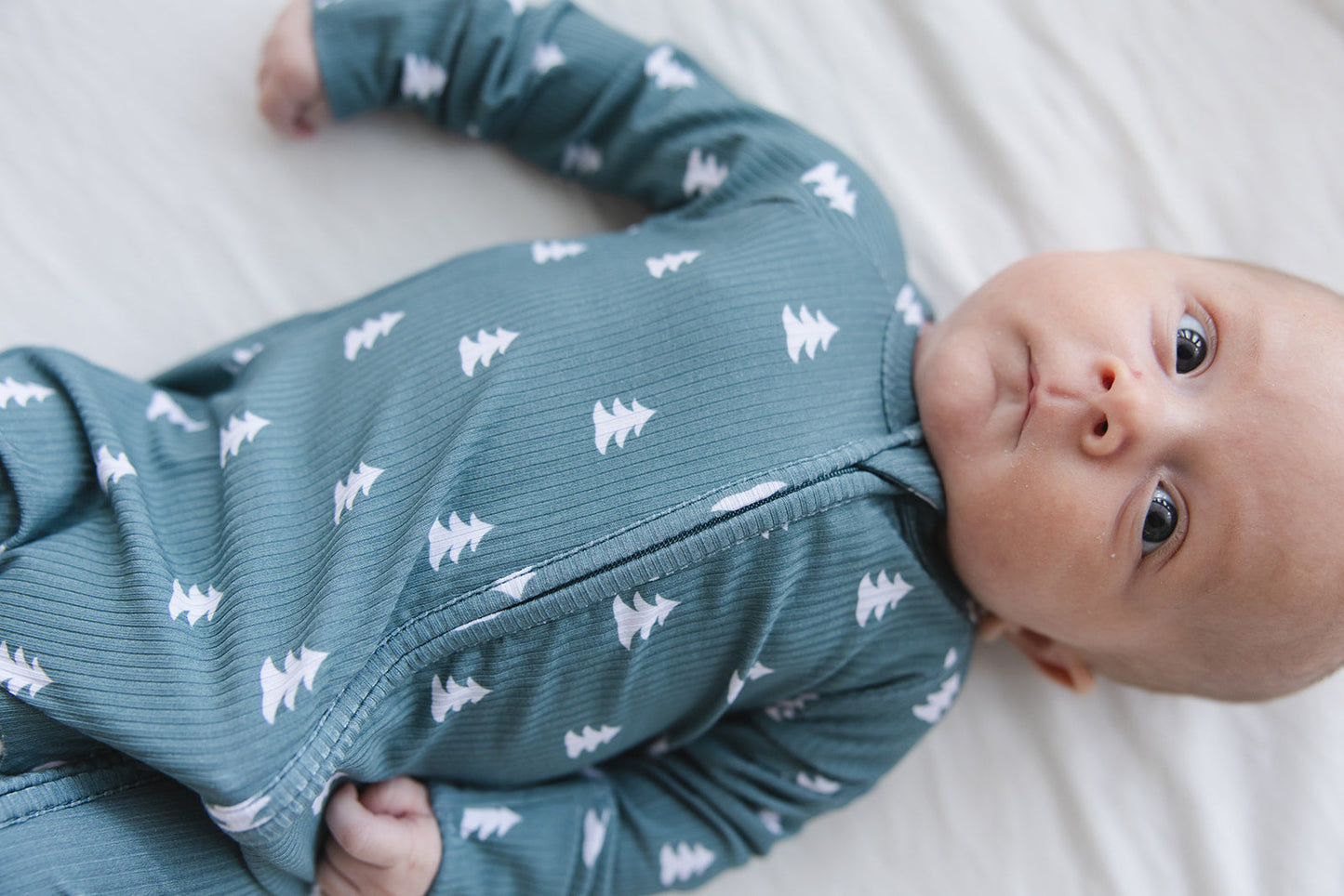 Northern Pine (ribbed) - Zippy