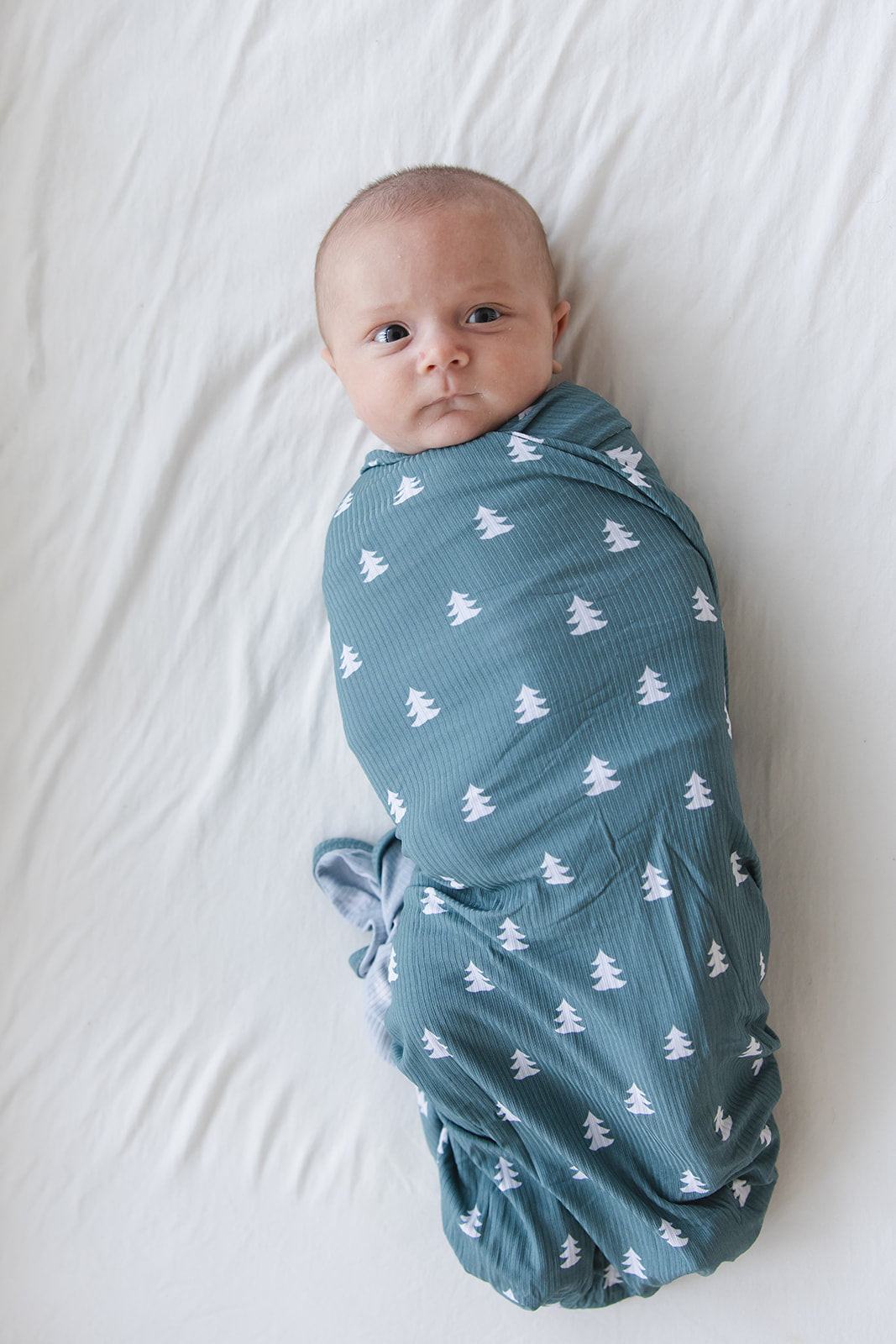 Northern Pine (ribbed) - Lightweight Blanket