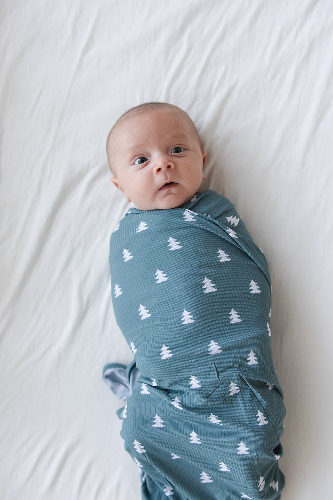 Northern Pine (ribbed) - Lightweight Blanket