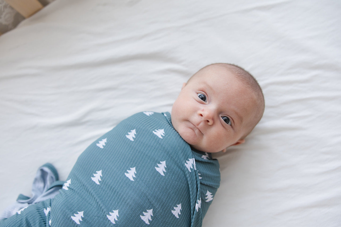 Northern Pine (ribbed) - Lightweight Blanket