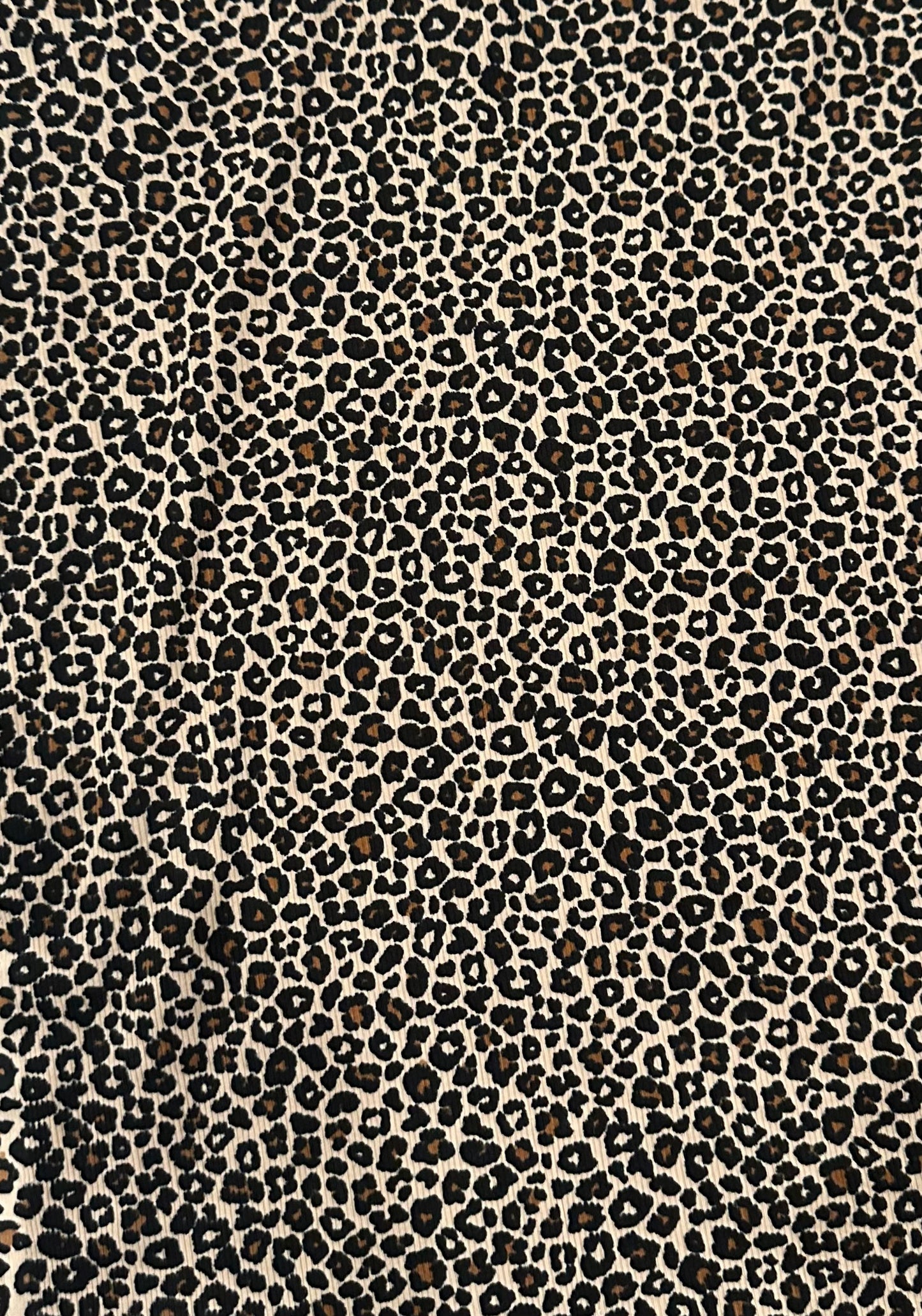 CREAM CHEETAH