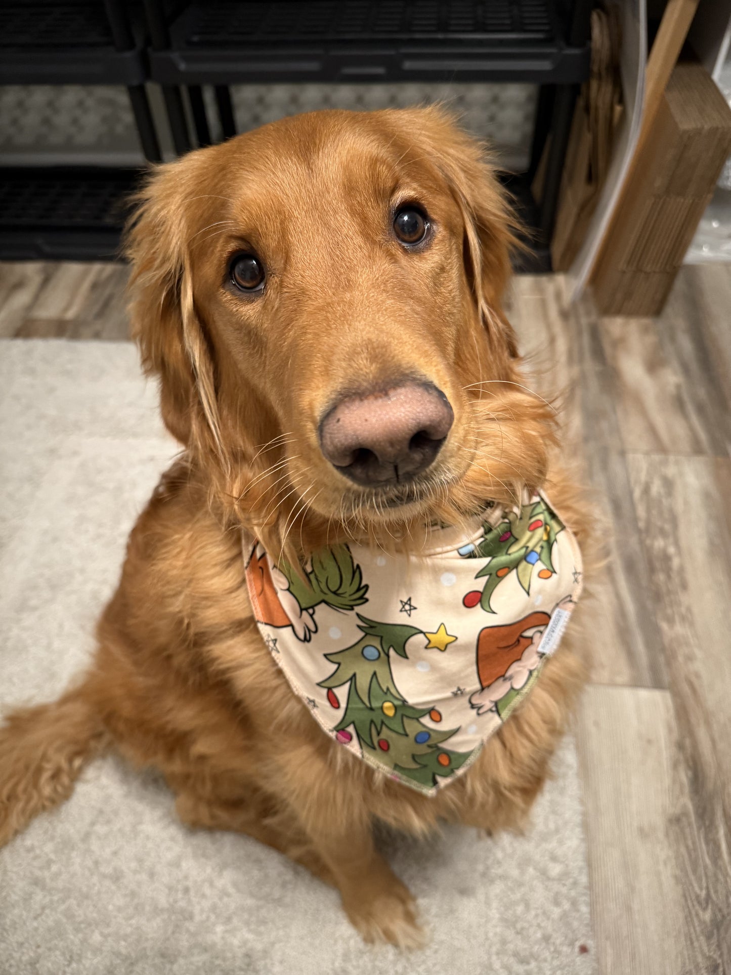 Grinch Dog Bandana