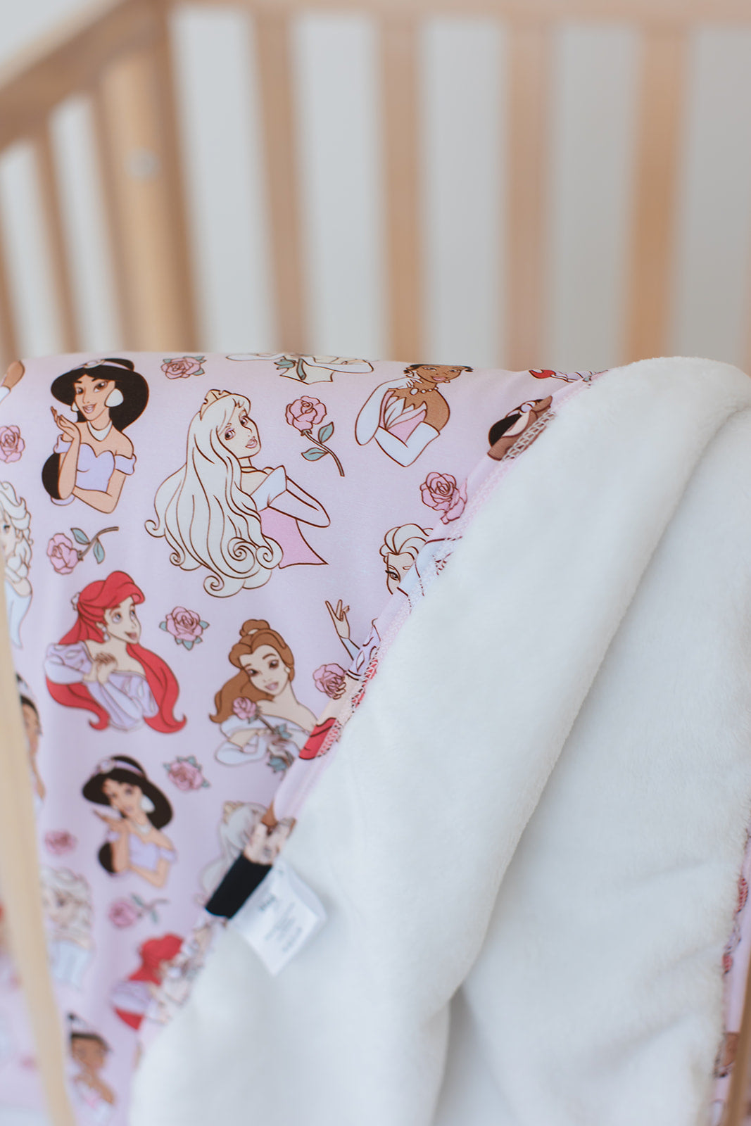 Once Upon a Dream - Plush Blanket