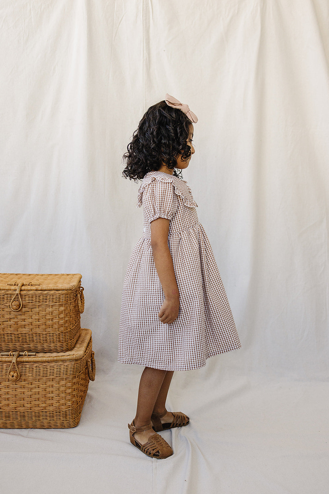 Gingham Peter Pan Collar Dress