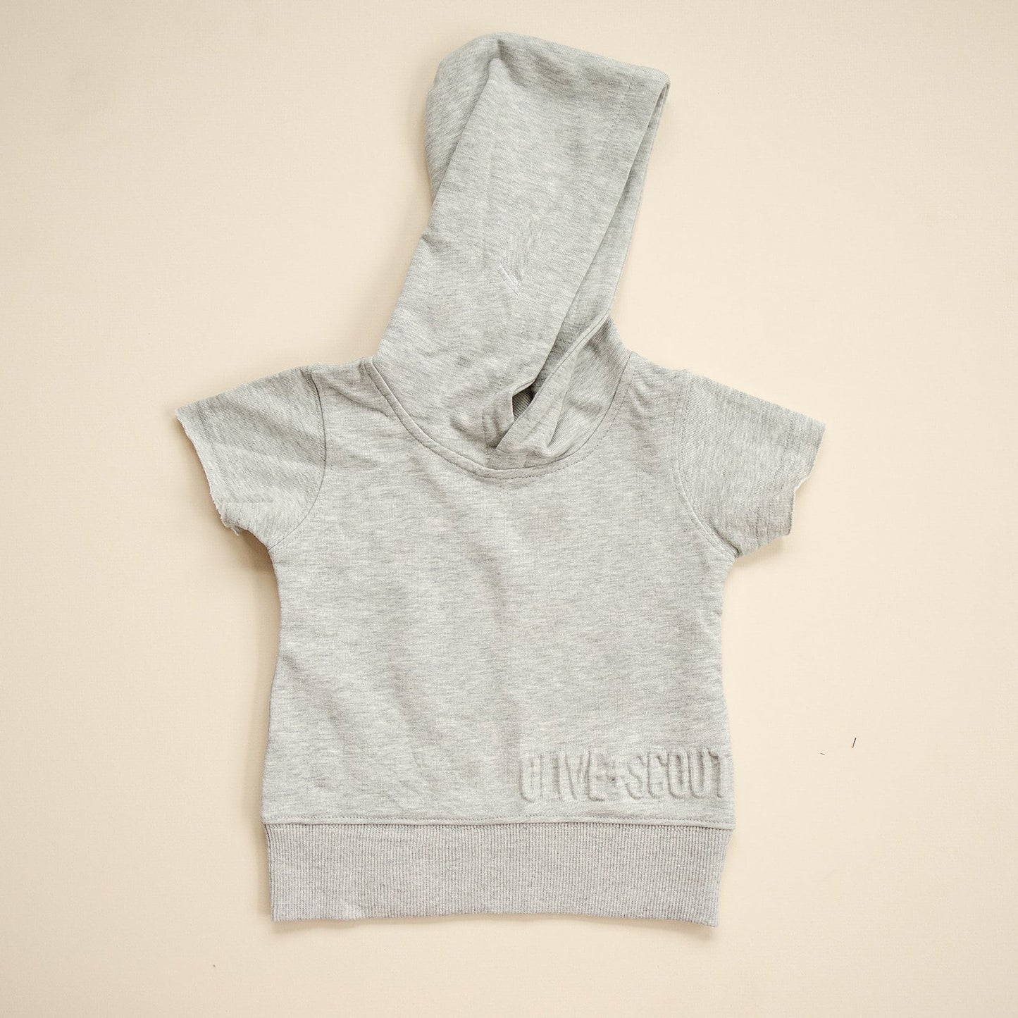 Bridger Hoodie