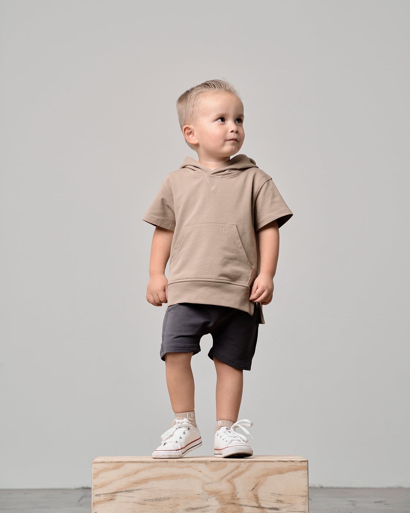 Short Sleeve Hoodie - Driftwood