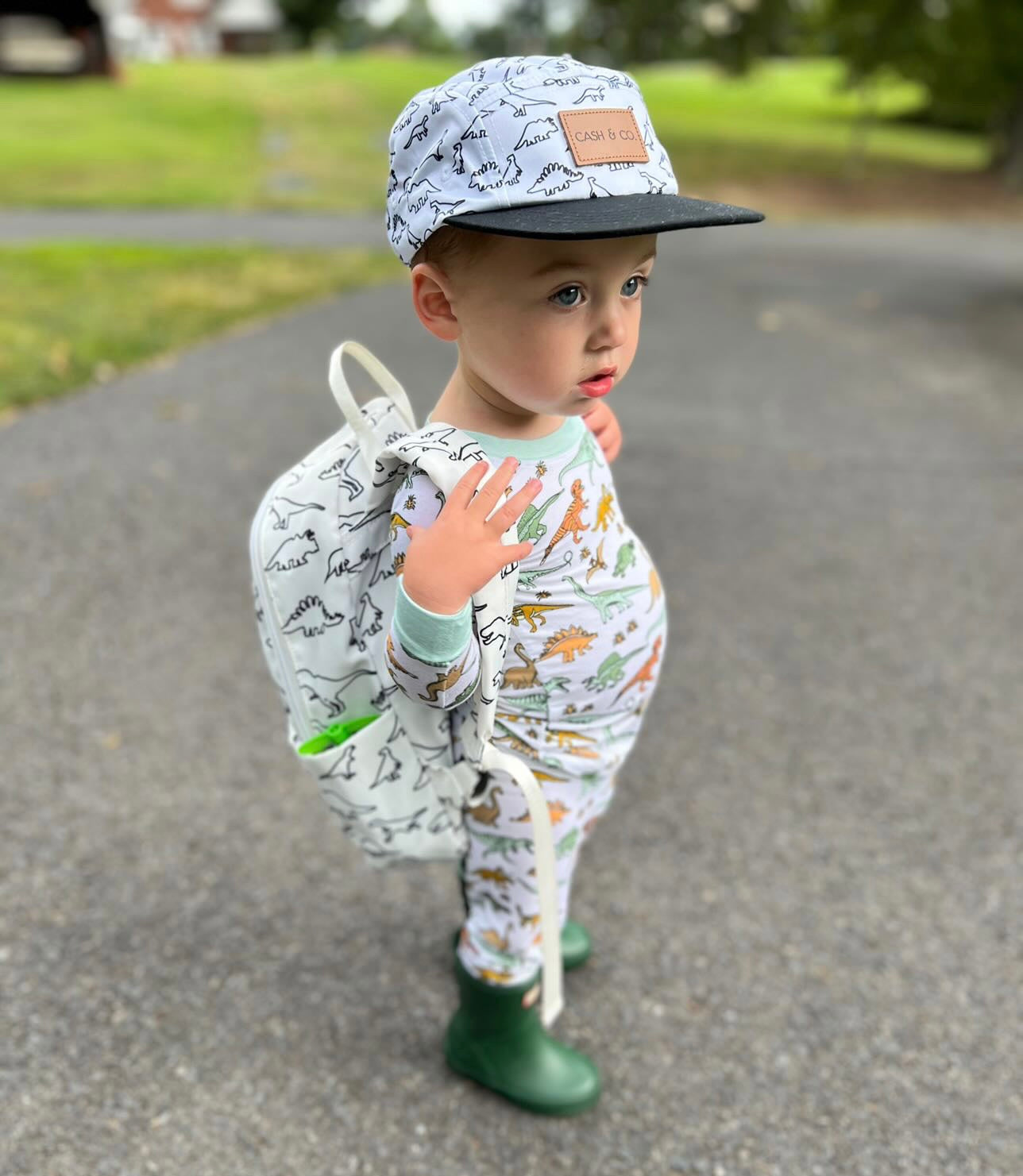 DINOSAUR DREAM SET