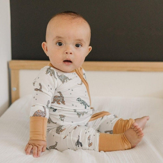 Mummy-Saurus Rex Bamboo Zippy Romper